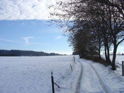 Dagtocht langlaufen in het Sauerland