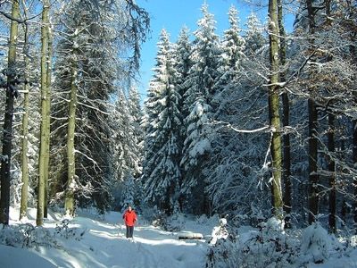 Dagtocht langlaufen in het Sauerland