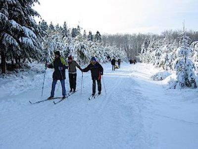 Dagtocht langlaufen in het Sauerland